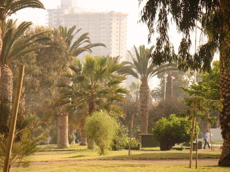 Northside Apartments Antofagasta Bagian luar foto